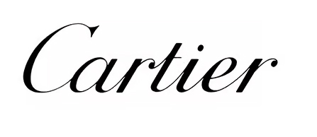 Brand logo 8